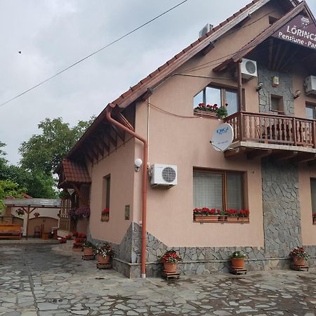 Pensiunea Lorincz *** Panzio Sovata Dış mekan fotoğraf