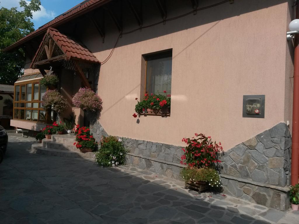 Pensiunea Lorincz *** Panzio Sovata Dış mekan fotoğraf
