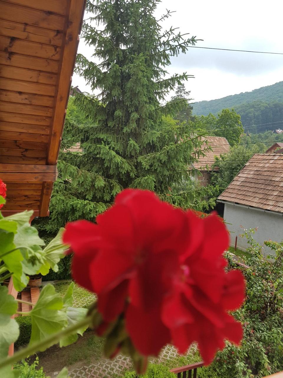Pensiunea Lorincz *** Panzio Sovata Dış mekan fotoğraf