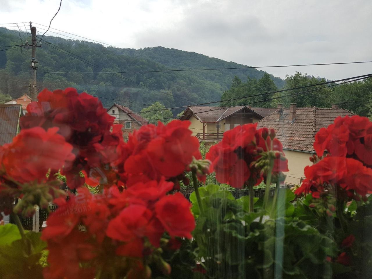 Pensiunea Lorincz *** Panzio Sovata Dış mekan fotoğraf